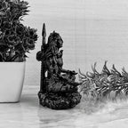 Shiva-The Protector Black