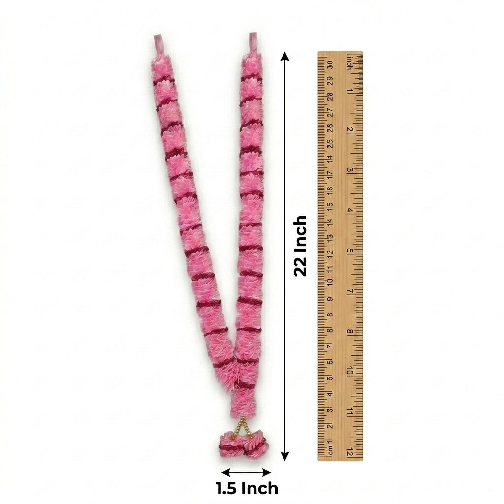 Size & Weight
