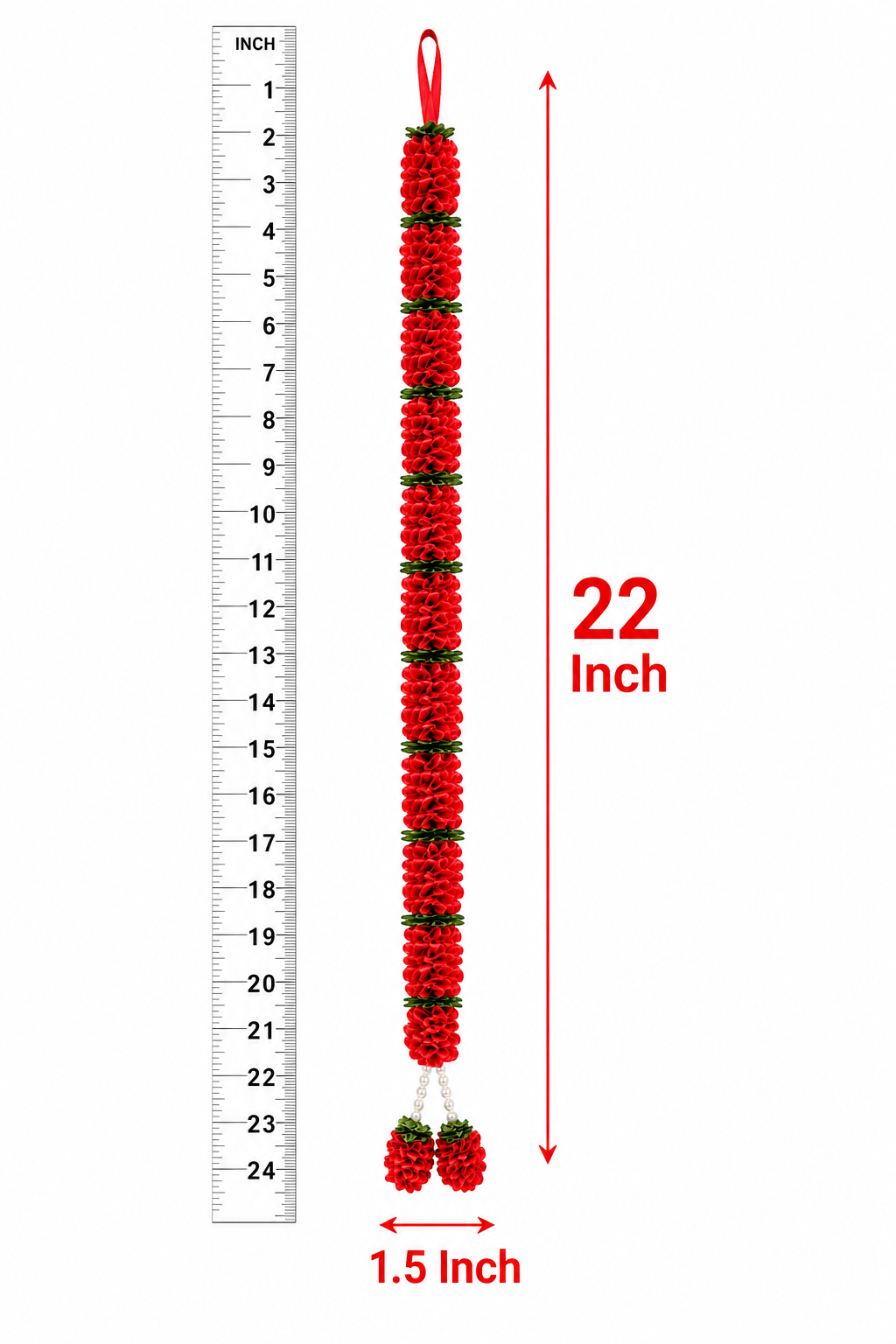 Size & Weight